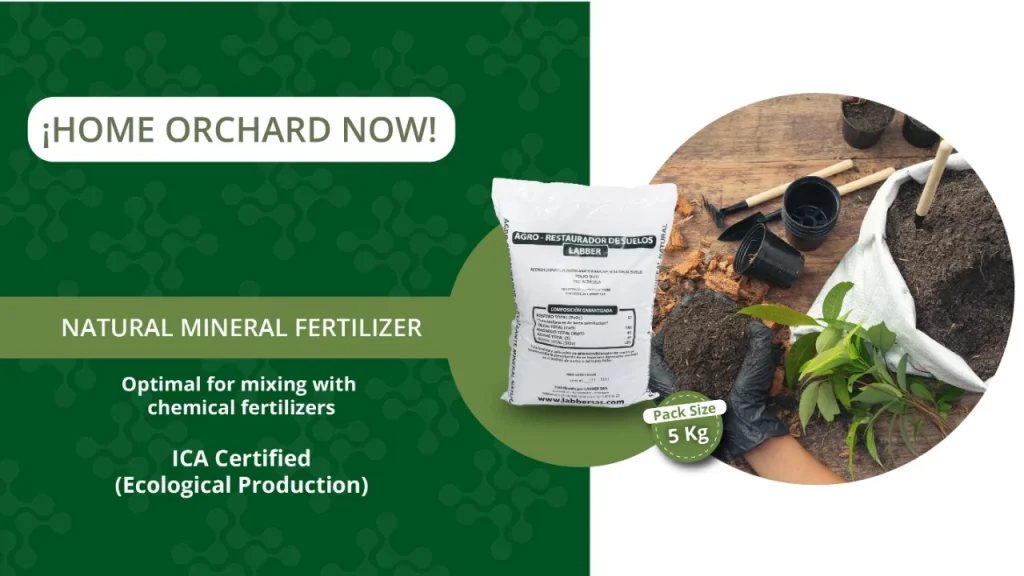 fertilizantes-para-plantas-1